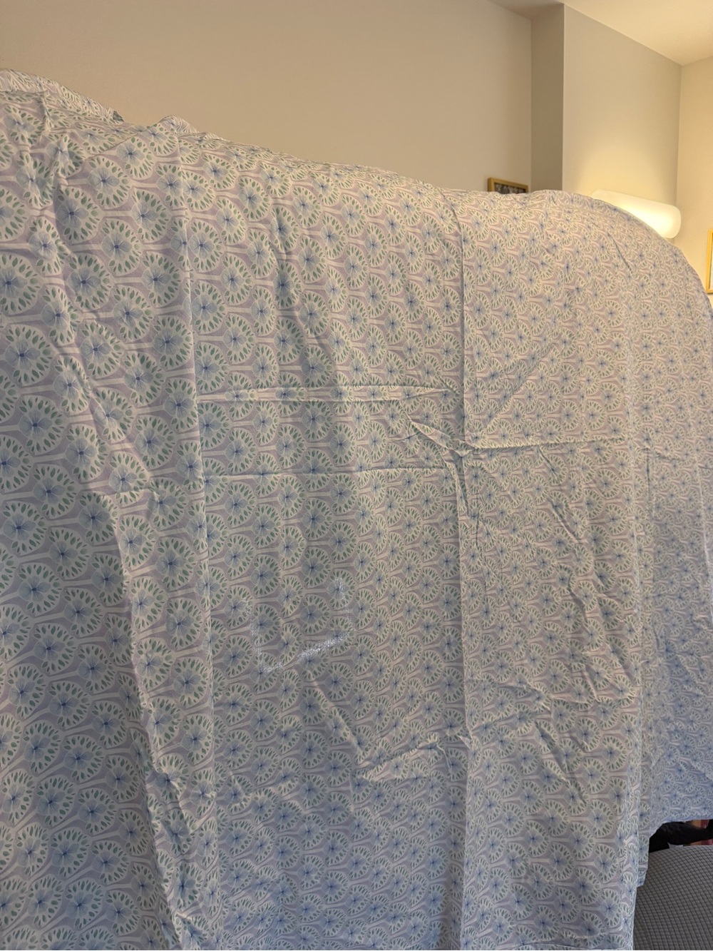 Pottery Barn Light Blue and White Patterned Bedding Sheet